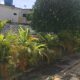 Residencia Masculina