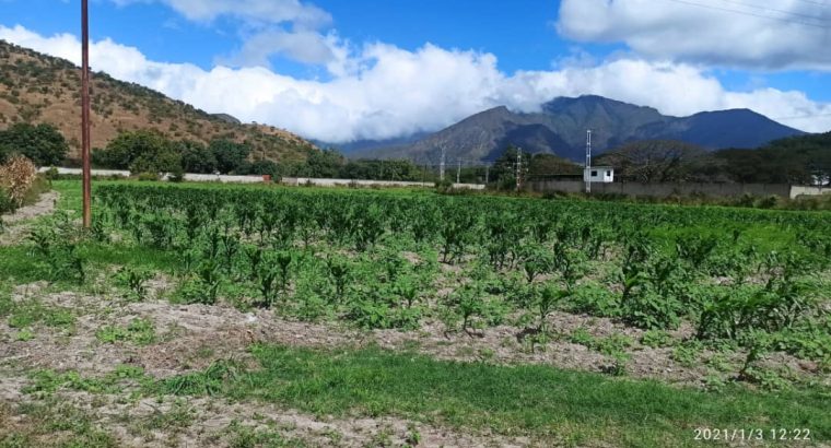 Finca en Yagua