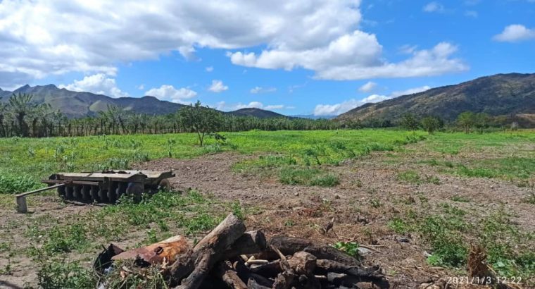 Finca en Yagua