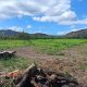 Finca en Yagua