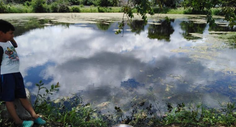 Finca en Yagua