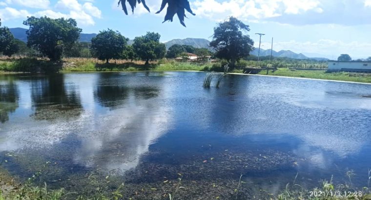 Finca en Yagua