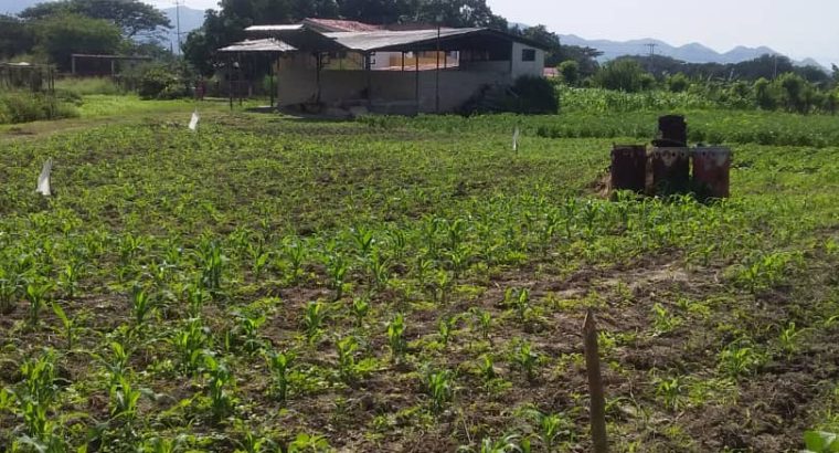 Finca en Yagua