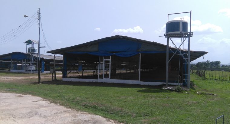 Finca En Guacara El Toco