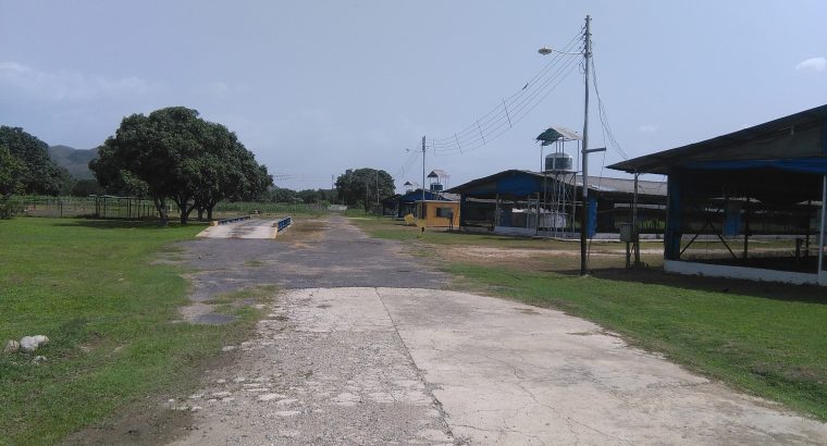 Finca En Guacara El Toco
