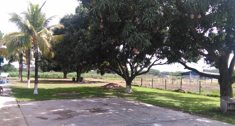 Finca En Guacara El Toco