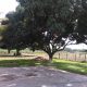 Finca En Guacara El Toco