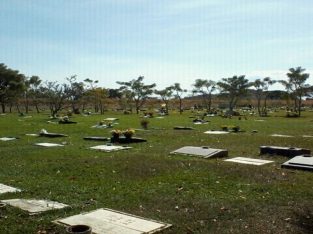 Parcela doble cementerio