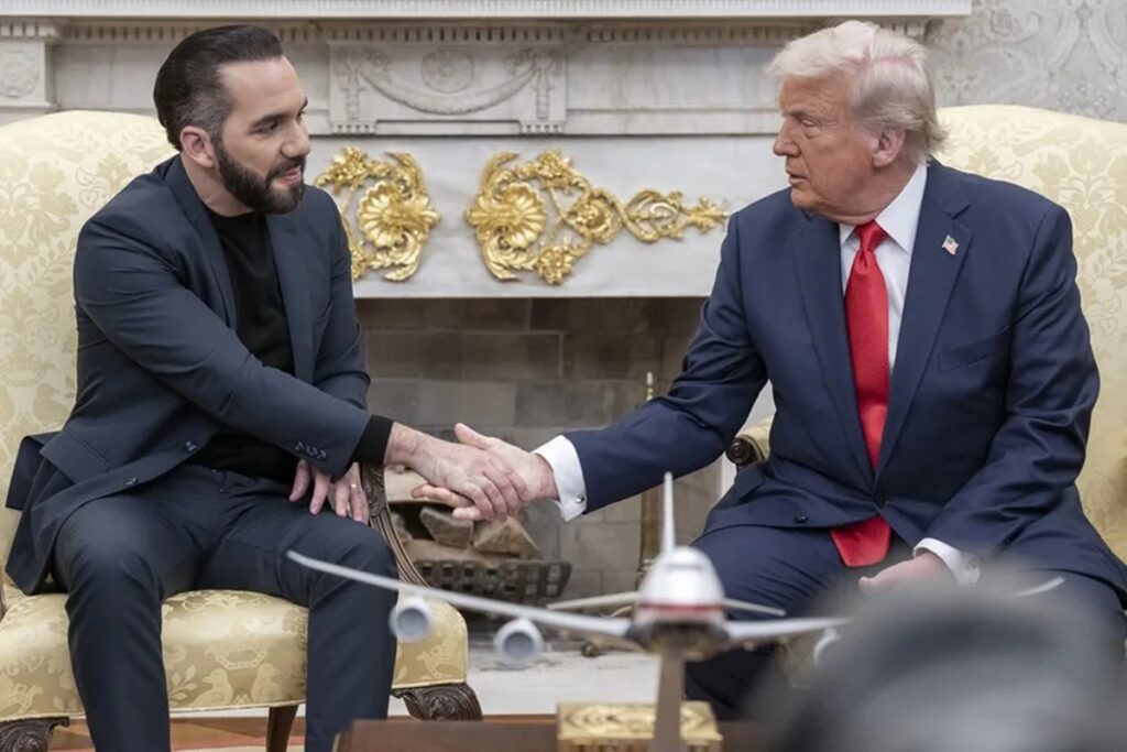 trump bukele