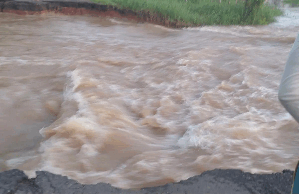 Apure