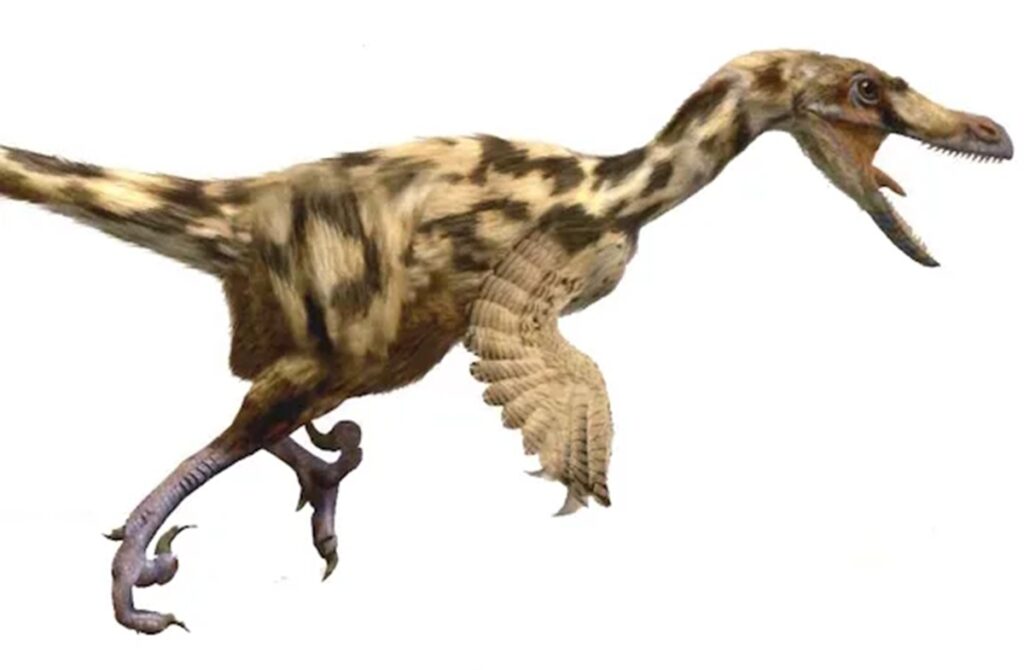 dinosaurios