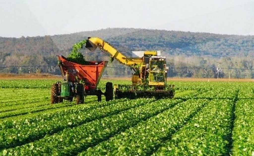 agroindustria
