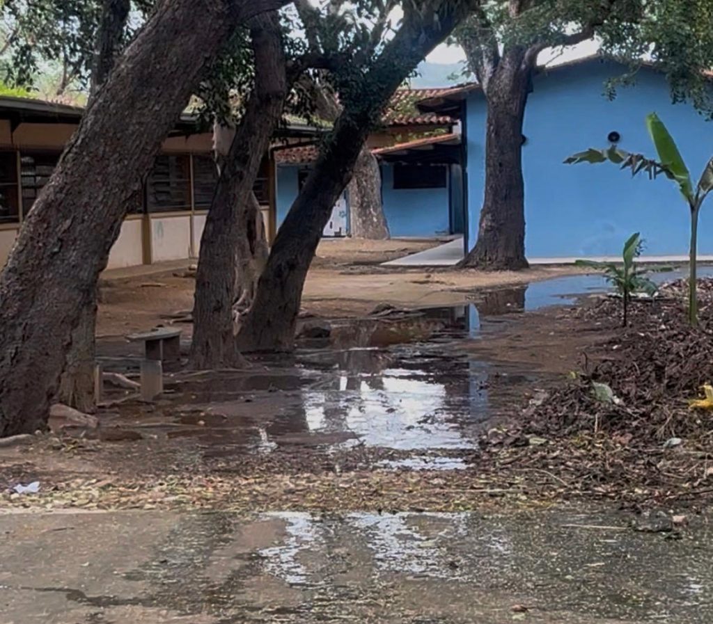 pacientes psiquiátricos Tarapío