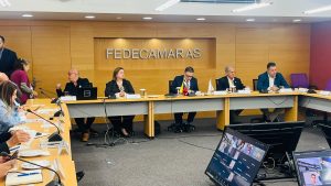 Fedecámaras anunció la creación del Comité de Seguimiento y Recuperación Productiva