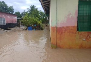 Las inundaciiones enel estado Apure