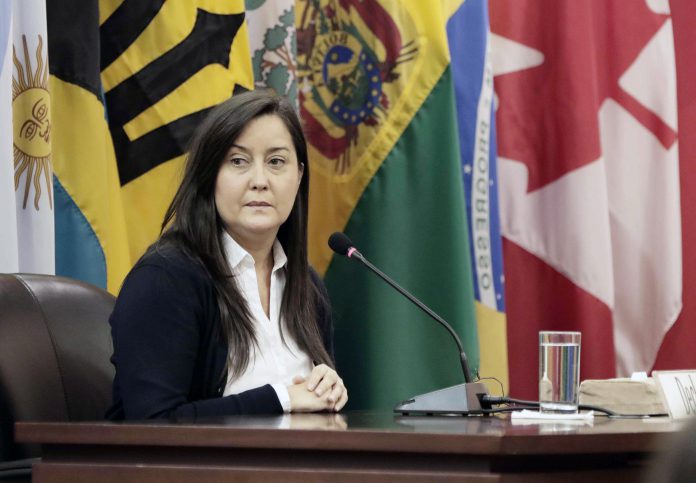 Rocío San Miguel: “Plan República debe cambiar de autoridades en Barinas”