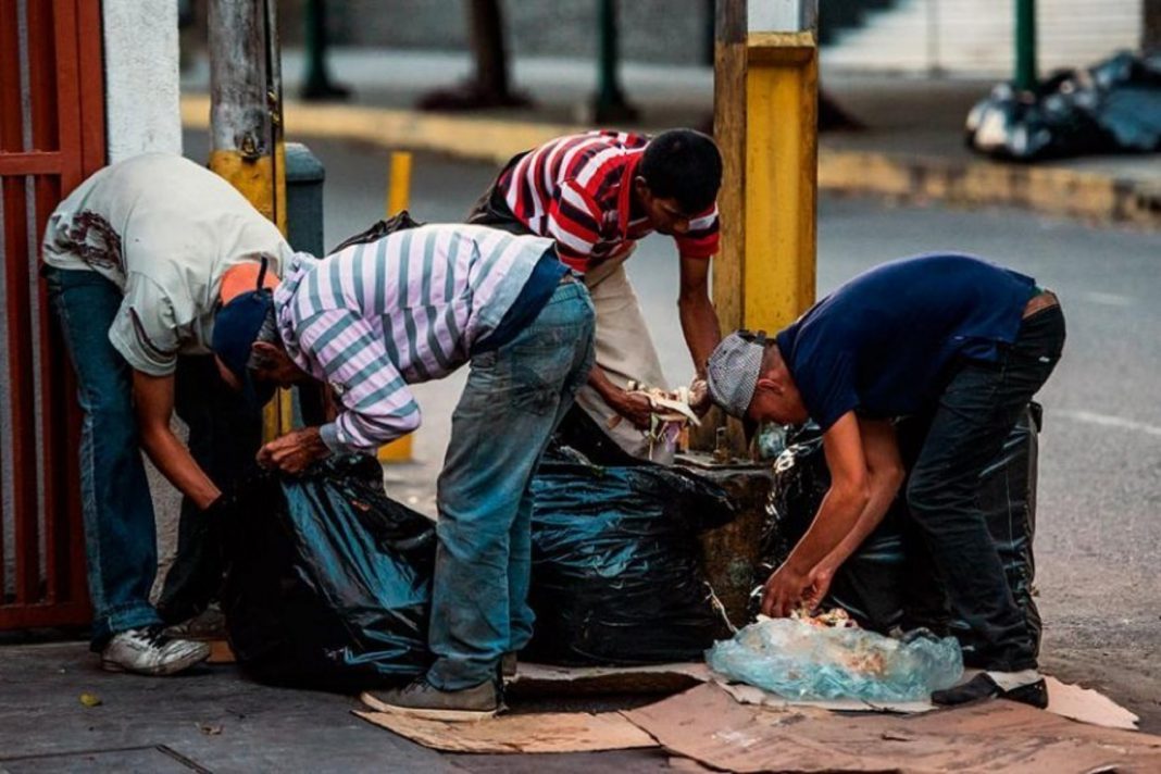 FAO: No tiene datos sobre inseguridad alimentaria en Venezuela ...