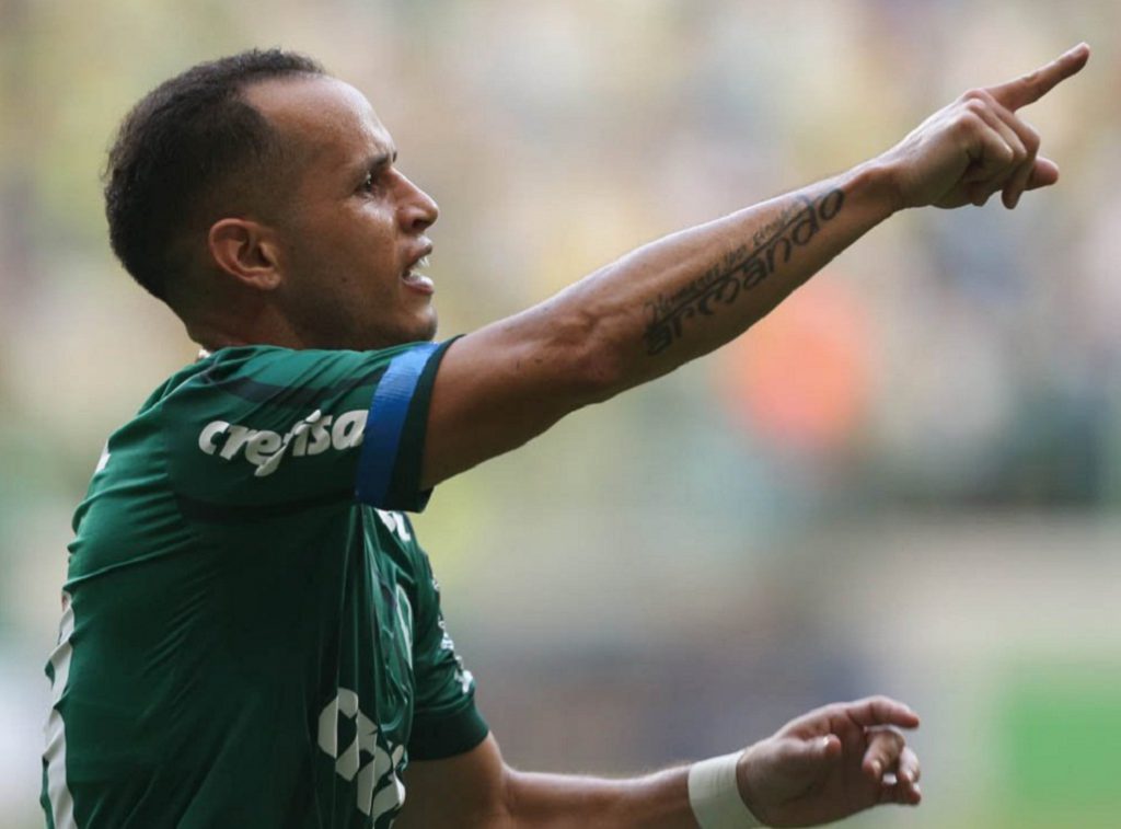 Alejandro Guerra Palmeiras