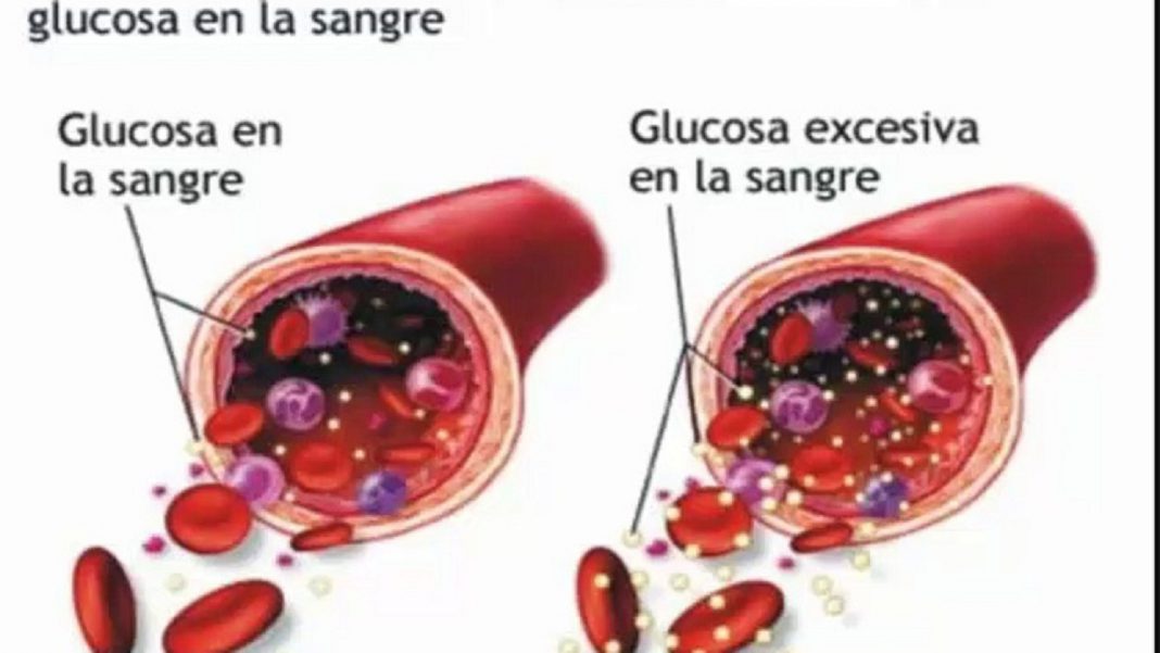 Reloj glucosa en sangre