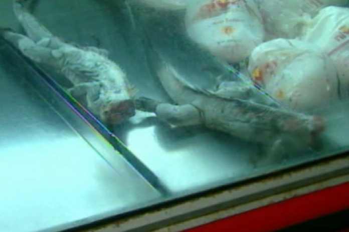 carne de iguana zulia escasez crisis desabastecimiento