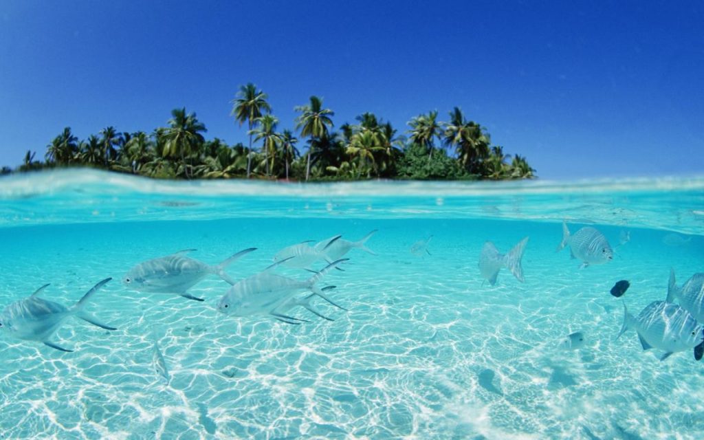 Maduro creó ZEE en Isla La Tortuga