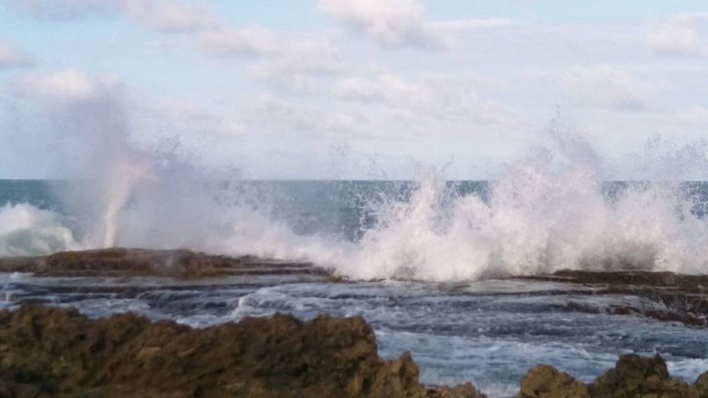 olas