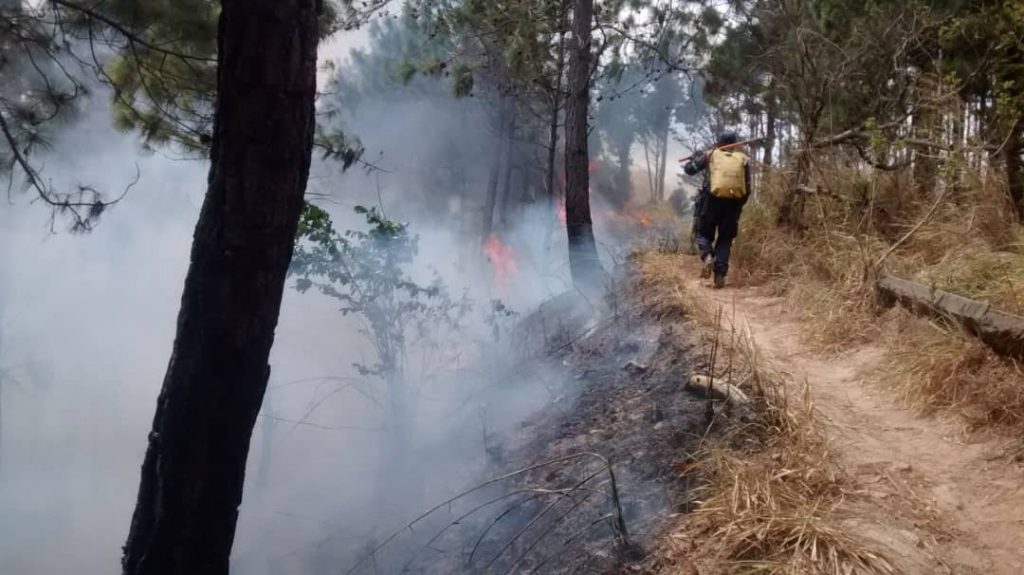 Reportan incendio forestal en el cerro El Café con afectación urbana