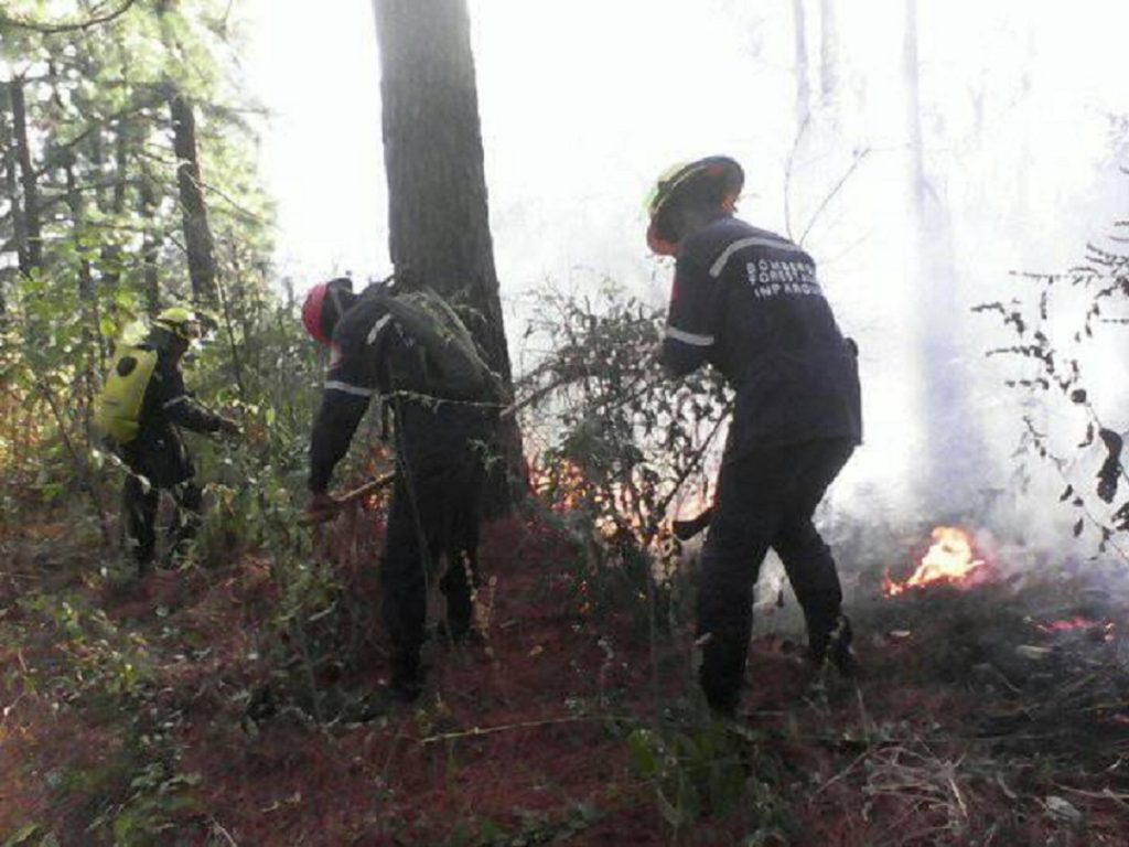 Continúan los incendios en el Cerro El Café de Naguanagua