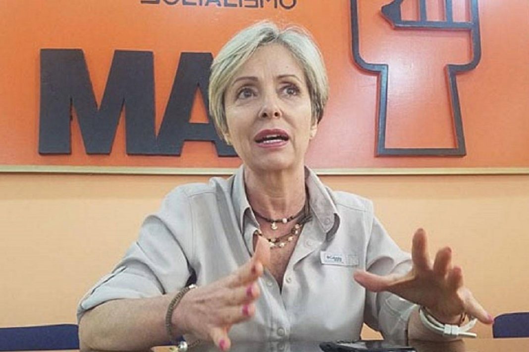 MAS pide unidad opositora ante reforma de la Constitución y comicios de abril