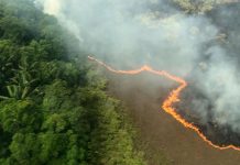 Los incendios amazónicos provocan cientos de hospitalizaciones en Brasil