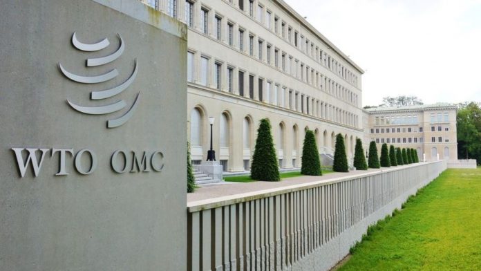 OMC asegura que el retroceso del comercio mundial en 2020 será menos brutal de lo previsto
