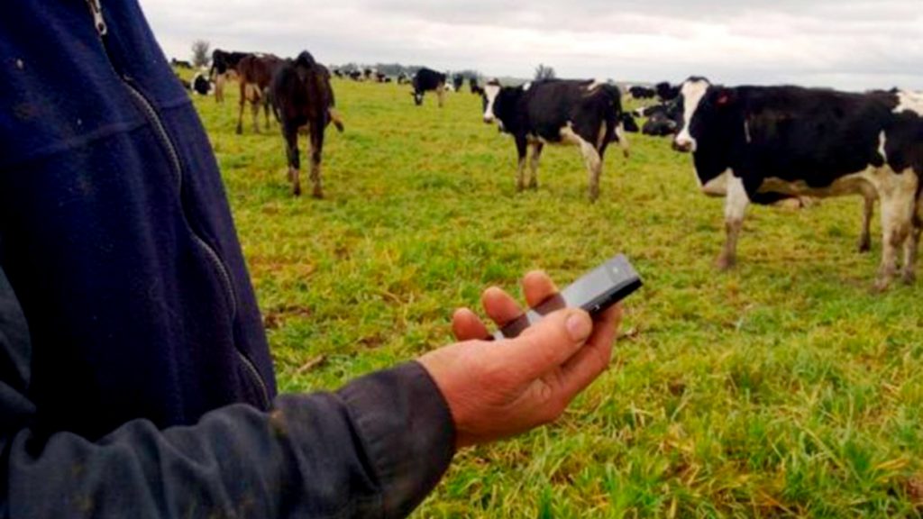 Áreas rurales latinoamericanas sufren grave rezago en conectividad a internet (estudio)