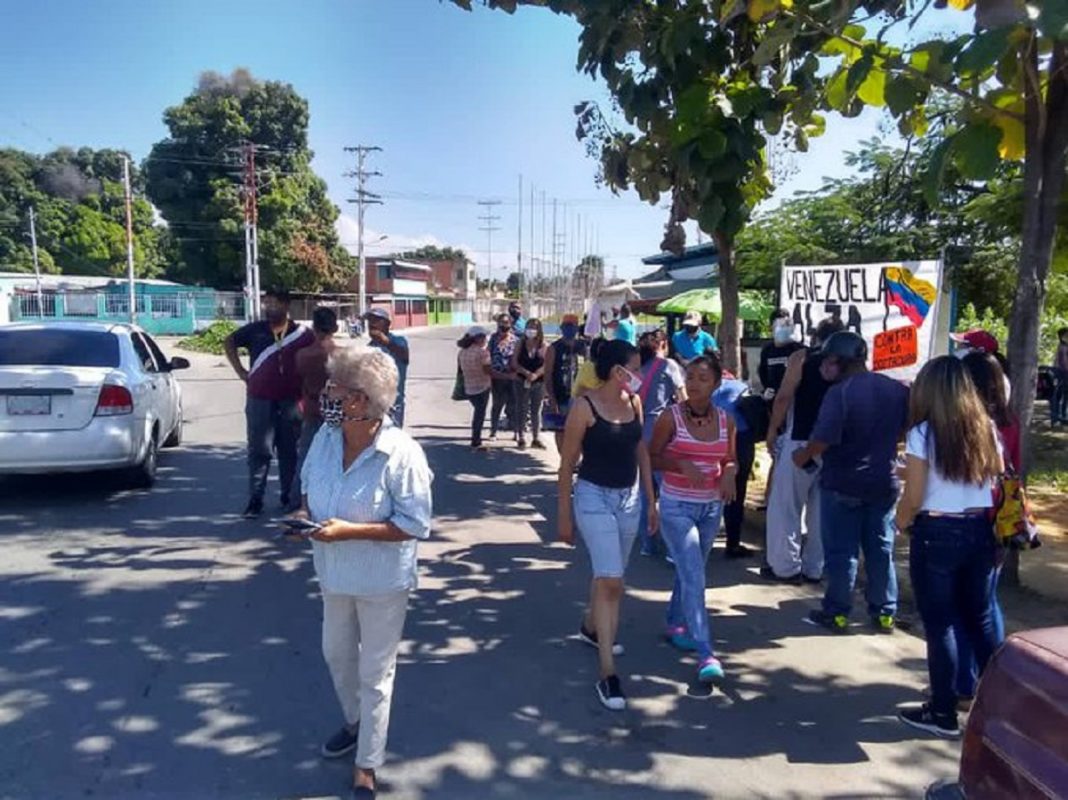 diputado