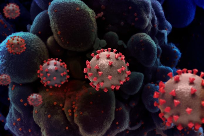 Comisión Europea destina 123 millones de euros a investigar variantes de coronavirus