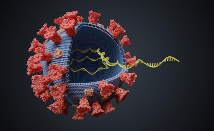 ¿Qué se sabe de la nueva variante de coronavirus hallada en Sudáfrica?