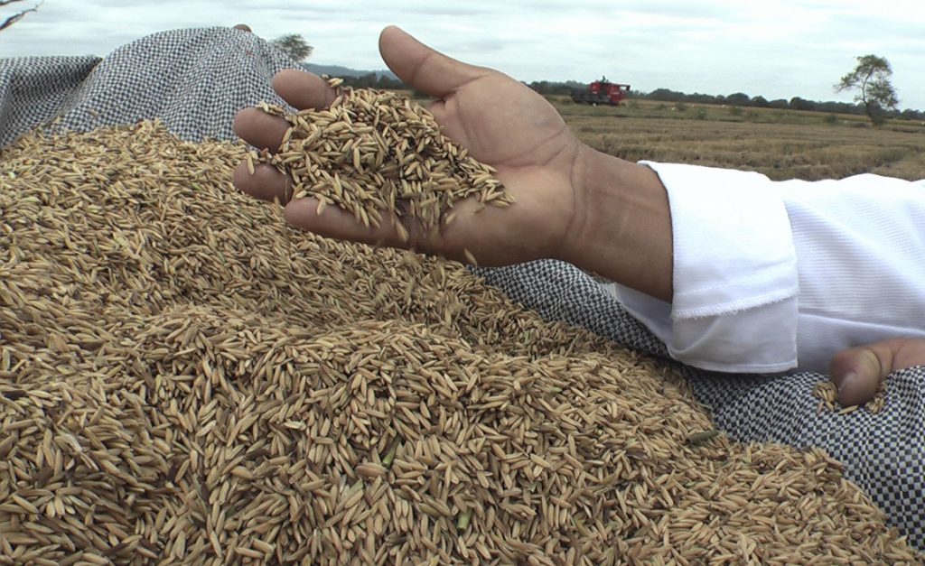 La Nación: Justicia argentina sobreseyó causa por venta de arroz a Venezuela que involucraba a María Gabriela Chávez