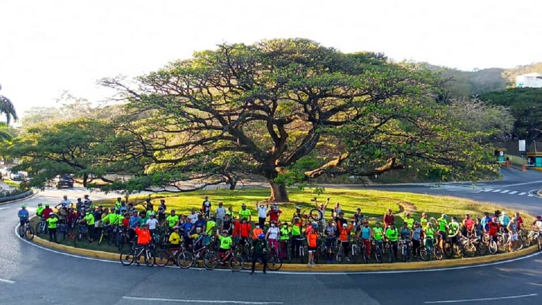ciclistas