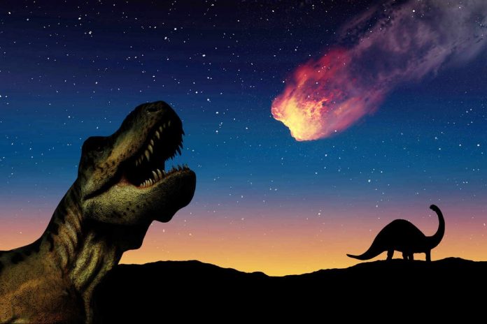 Un cometa de los confines del sistema solar acabó con los dinosaurios, dice estudio