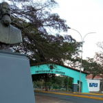 Vitae
