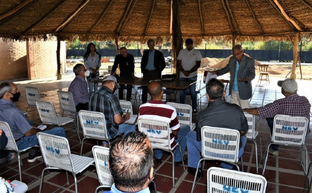 Asociación Venezolana de Tauromaquia