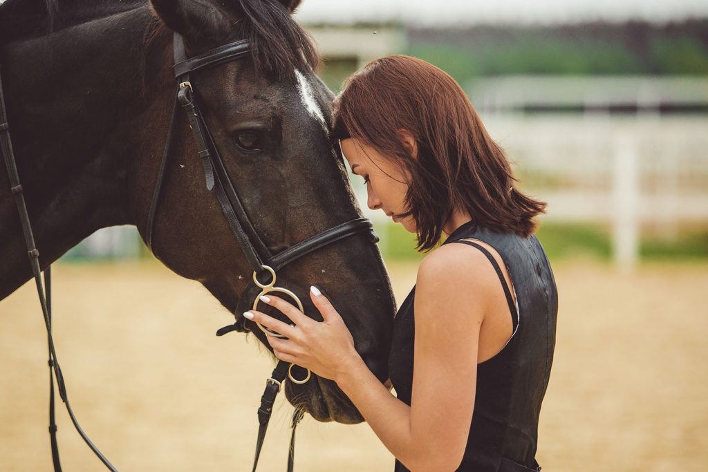 El caballo comprende mejor cuando se le habla como a un bebé