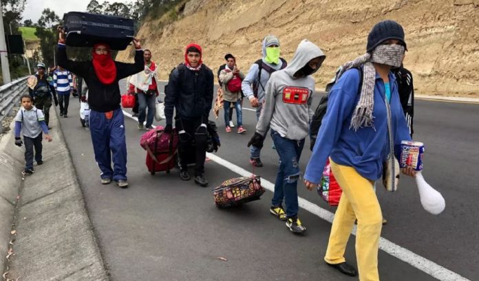 El 31% de los venezolanos entra a Ecuador por pasos irregulares, según OIM