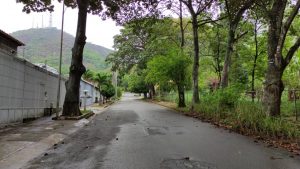 El Trigal Sur