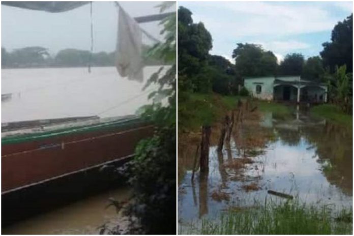 Desborde del río Arauca afecta barriadas en Apure, al igual que el río Guanare en Portuguesa