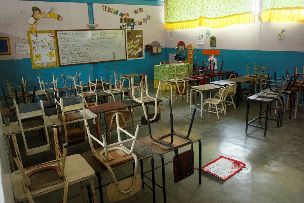 docentes maestros escuelas