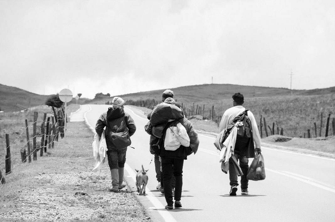 OIM: la migración, un fenómeno mundial que requiere soluciones coordinadas