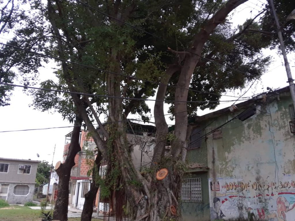 La Isabelica
