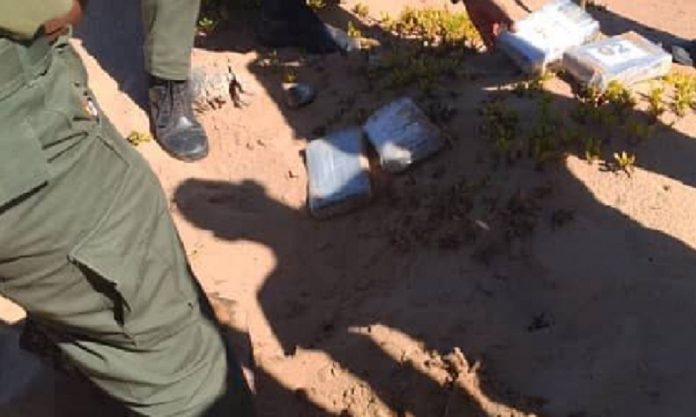 GNB incauta 12 kilos de cocaína en las costas de Falcón
