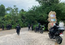 Un canadiense muerto y dos heridos por tiroteo en la mexicana Playa del Carmen