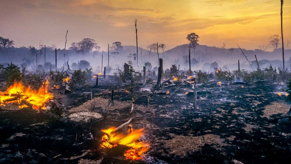 Amazonía brasileña